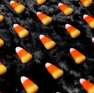 Meet your Posher, Molly